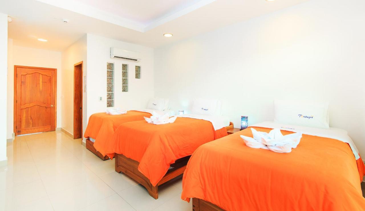 Hôtel Galapagos Tortuga Bay à Puerto Ayora  Extérieur photo
